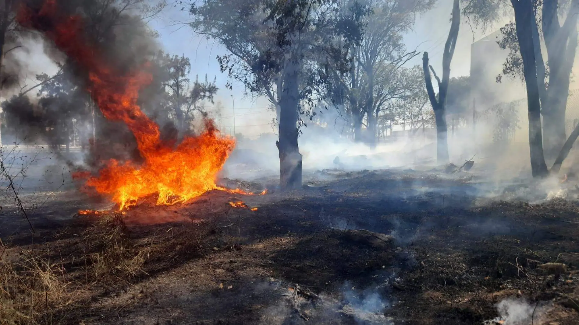 Incendio predio aledaño al Cucei